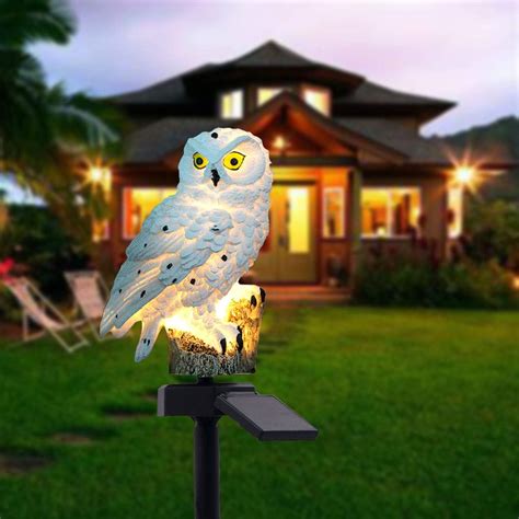 night lights outside.